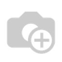 Trainee - Practitioner
